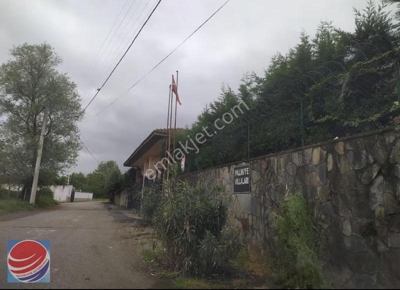 Palmiye Villalarında Kat Mülkiyetli Tapulu Nadir Villa - Görsel 7