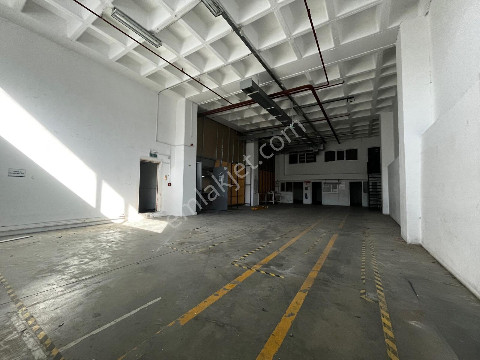 Esenyurt Akçaburgaz 3500 M2 4 Rampa +1 Giriş H:5.40 Depo - Görsel 9