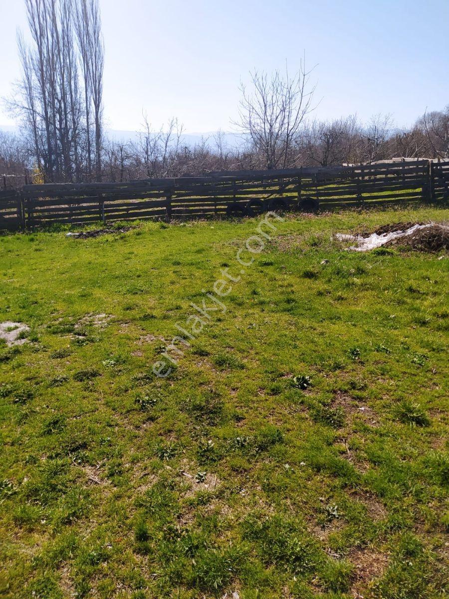 Kuzyaka Mh De Satılık Müstakil 2 Parsel Bağ Evi Ve Bahçesi - Görsel 7