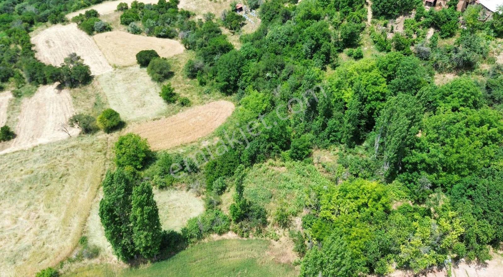 Aksaklar Köyünde Köye Yakın 866 M2 Satlık Arazi - Görsel 4