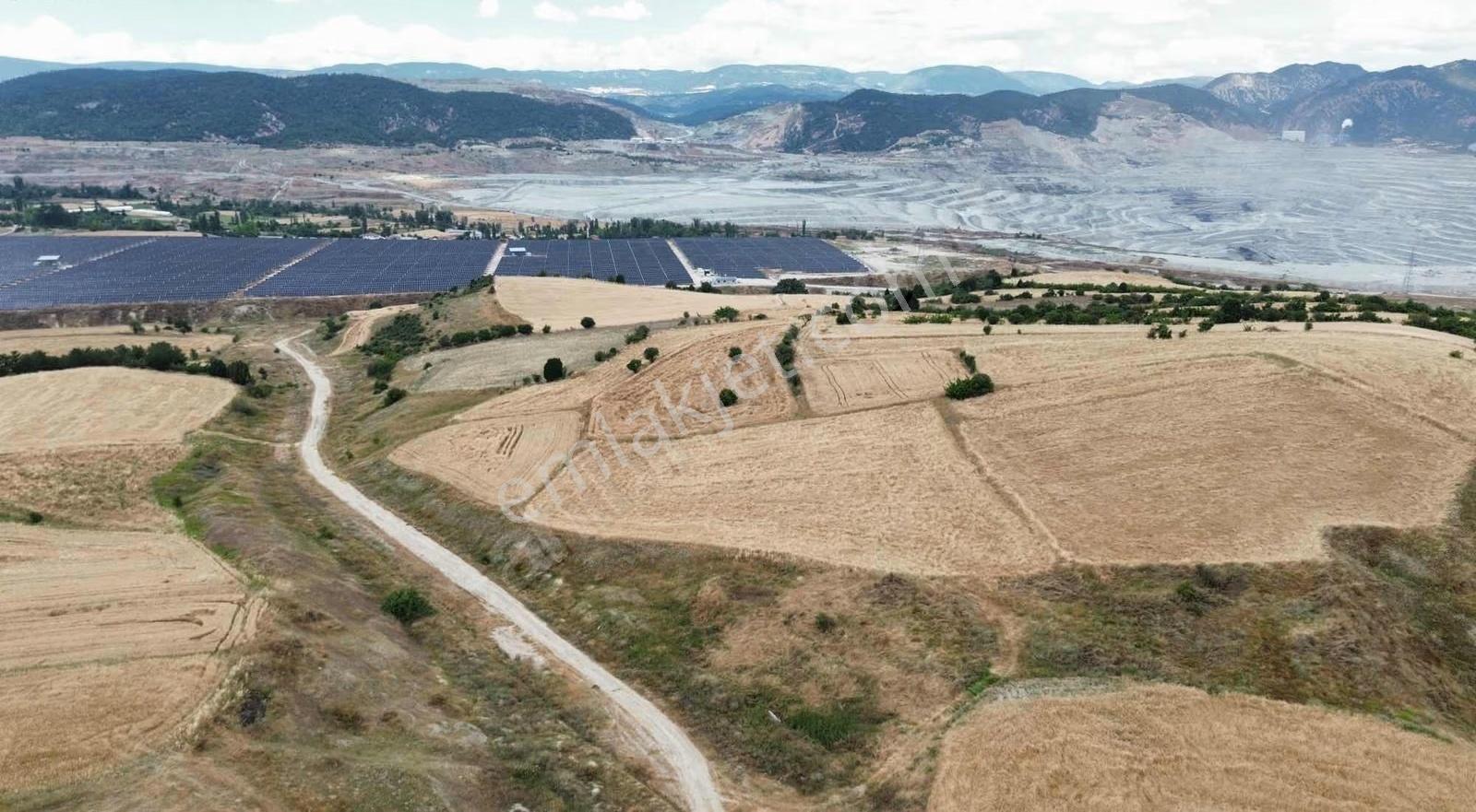 Göynük Himmetoğlu Köyünde 6036 M2 Satılık Arazi - Görsel 10