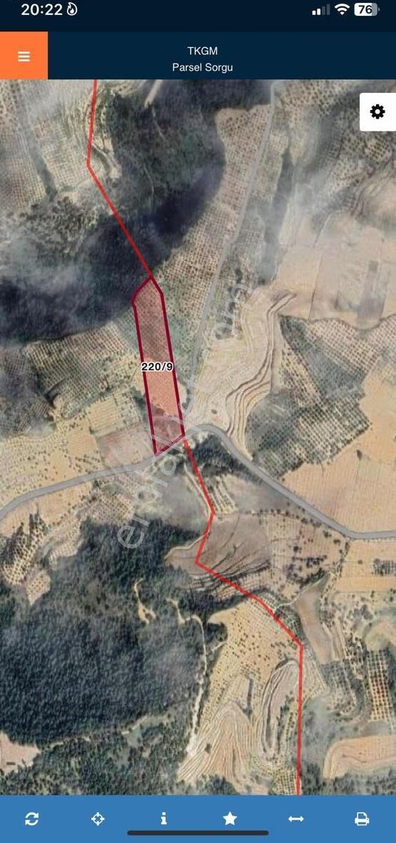 Aydın / Bozdoğan / Koyuncular Mahallesi Asfalt Üstü - Görsel 2
