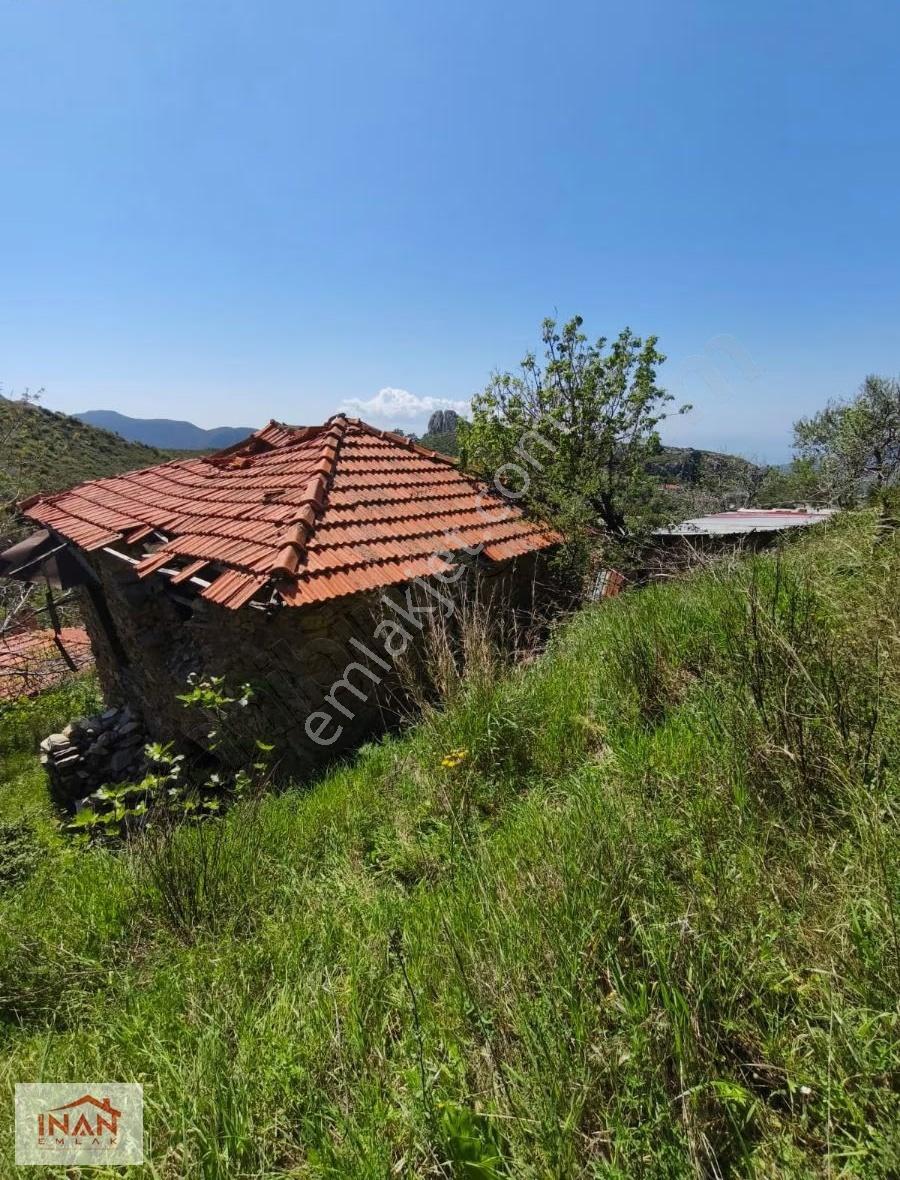 Zeytinköyde Satılık Kargir Ev 890 M2 - Görsel 4
