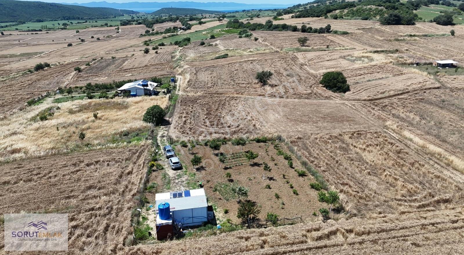 Saros'ta Hazır Yatırım: Mecidiye'de 995m² Hobi Bahçesi - Görsel 29