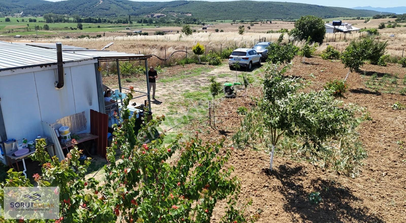 Saros'ta Hazır Yatırım: Mecidiye'de 995m² Hobi Bahçesi - Görsel 15