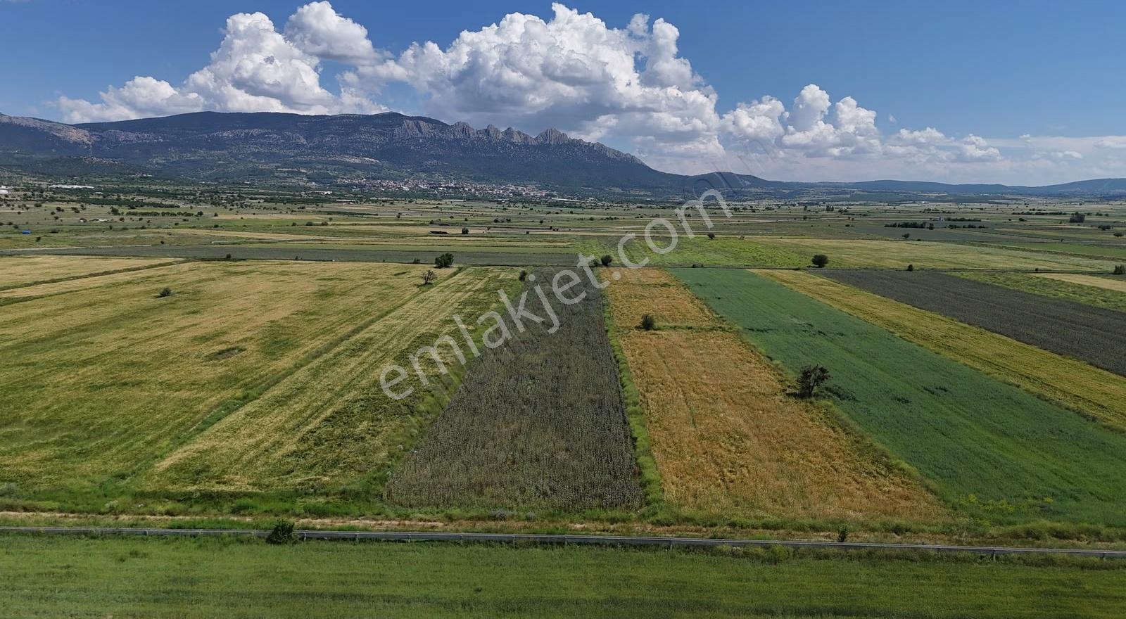 Baklanda Satılık 10328m2 Sulak Tarla - Görsel 2