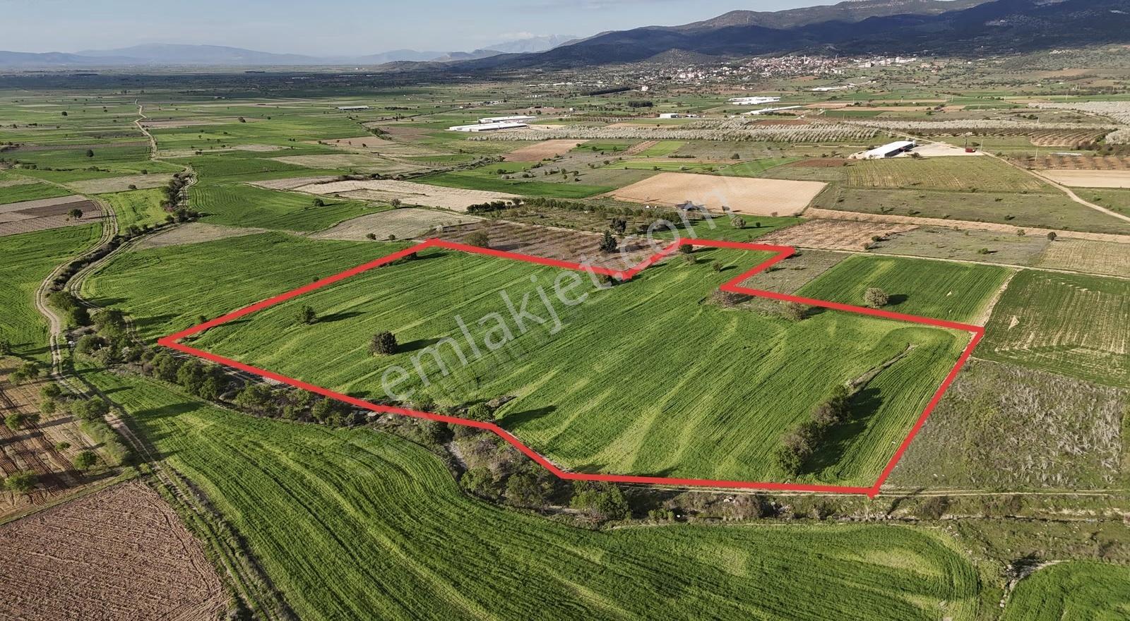 Baklan Merkezde Tavuk,inek Çiftliği Yapmaya Uygun 39.057m2 Tarla - Görsel 3