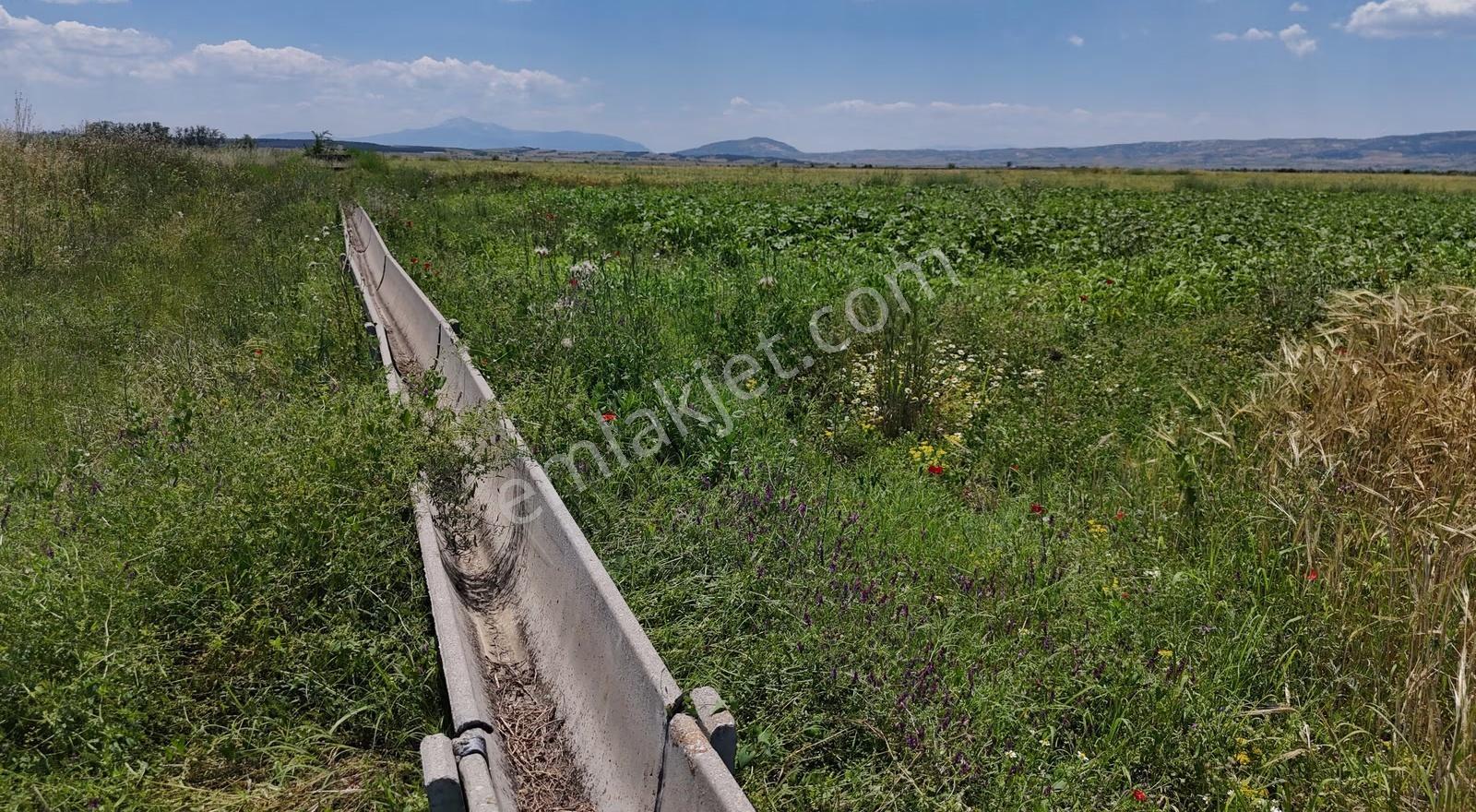 Baklan Merekzde Satılık Sulak 12,410 M2 Tarla - Görsel 8