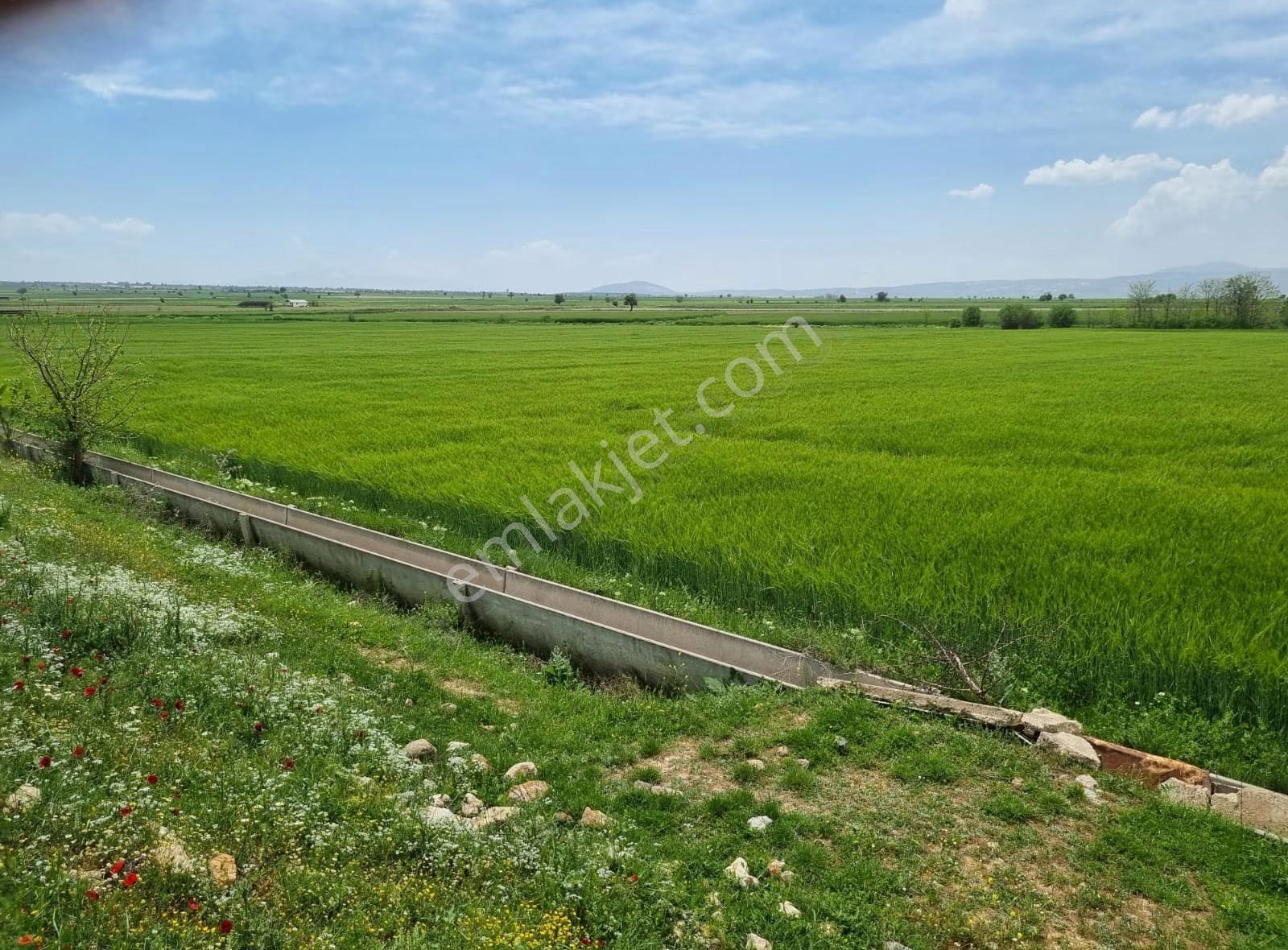 Baklan Merkezde Satılık Sulak 17.470 M2 Tarla - Görsel 7