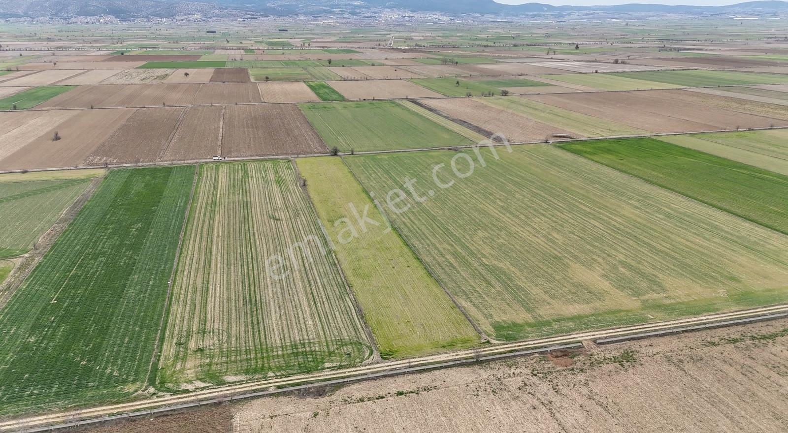Baklan Konak'ta Satılık Sulak 7.480m2 Tarla - Görsel 6