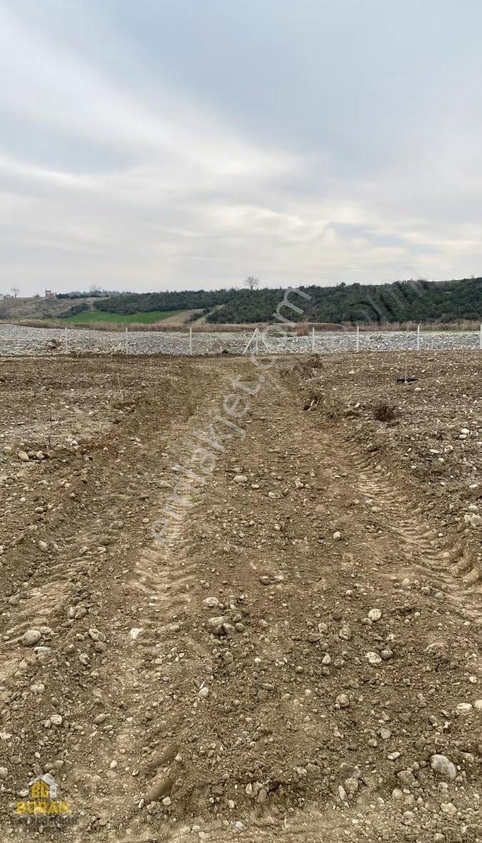 Boran Gayrimenkulden Mükemmel Lokasyon Da Satılık Kayısı Bahçesi - Görsel 4