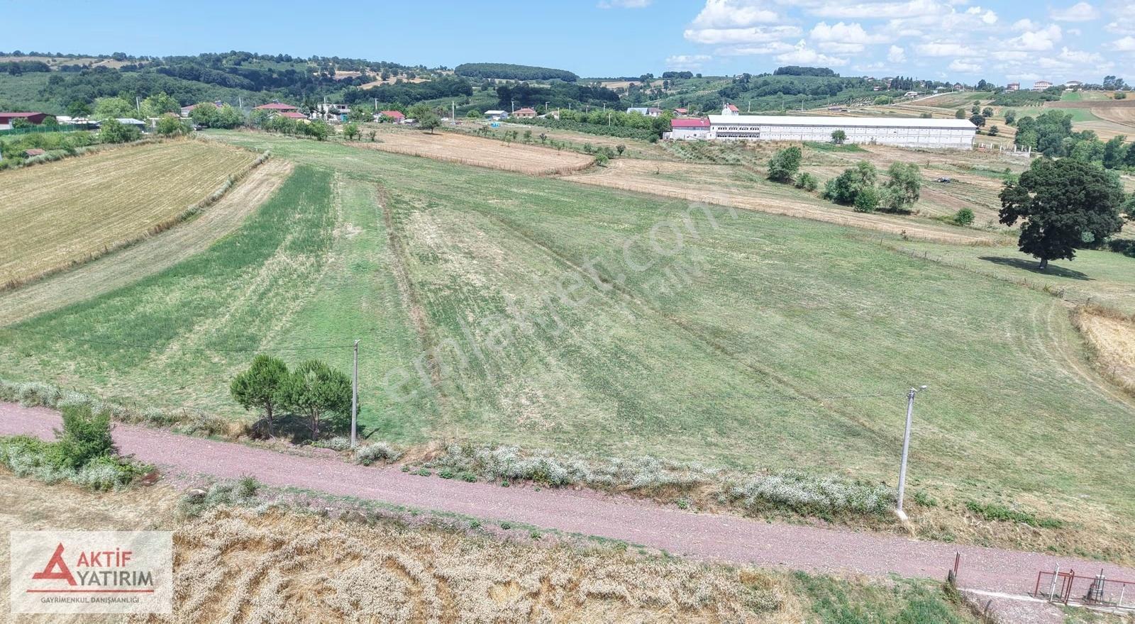 Kandıra'da 2452 M² Resmi Yollu Köy Kenarı %5 İmarlı Fırsat Tarla - Görsel 3