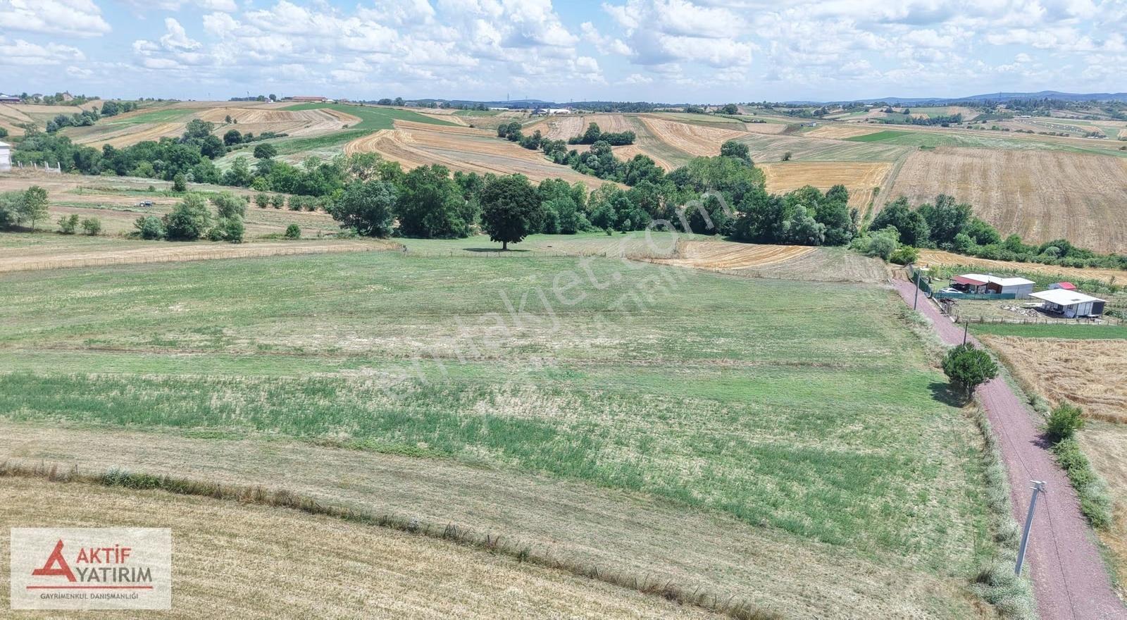 Kandıra'da 2452 M² Resmi Yollu Köy Kenarı %5 İmarlı Fırsat Tarla - Görsel 33
