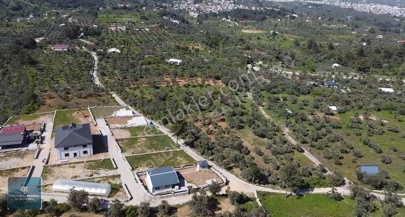 Fırsat Yukarıkızılca Da Yolu Açık Müstakil 2750 M2 Zeytinli Bağ - Görsel 10