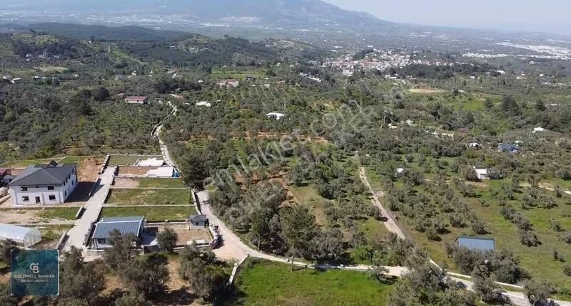 Fırsat Yukarıkızılca Da Yolu Açık Müstakil 2750 M2 Zeytinli Bağ - Görsel 12