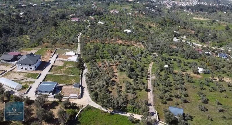 Fırsat Yukarıkızılca Da Yolu Açık Müstakil 2750 M2 Zeytinli Bağ - Görsel 8