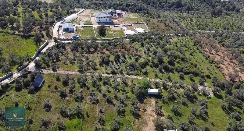 Fırsat Yukarıkızılca Da Yolu Açık Müstakil 2750 M2 Zeytinli Bağ - Görsel 6