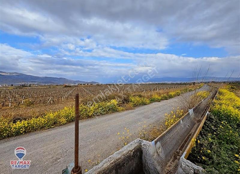 Menemen Çavuşköy 6.600 M2 Yola Ve Depolama Alanına Yakın Tarla - Görsel 20