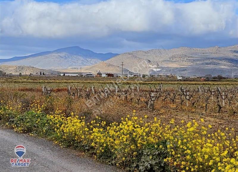 Menemen Çavuşköy 6.600 M2 Yola Ve Depolama Alanına Yakın Tarla - Görsel 6