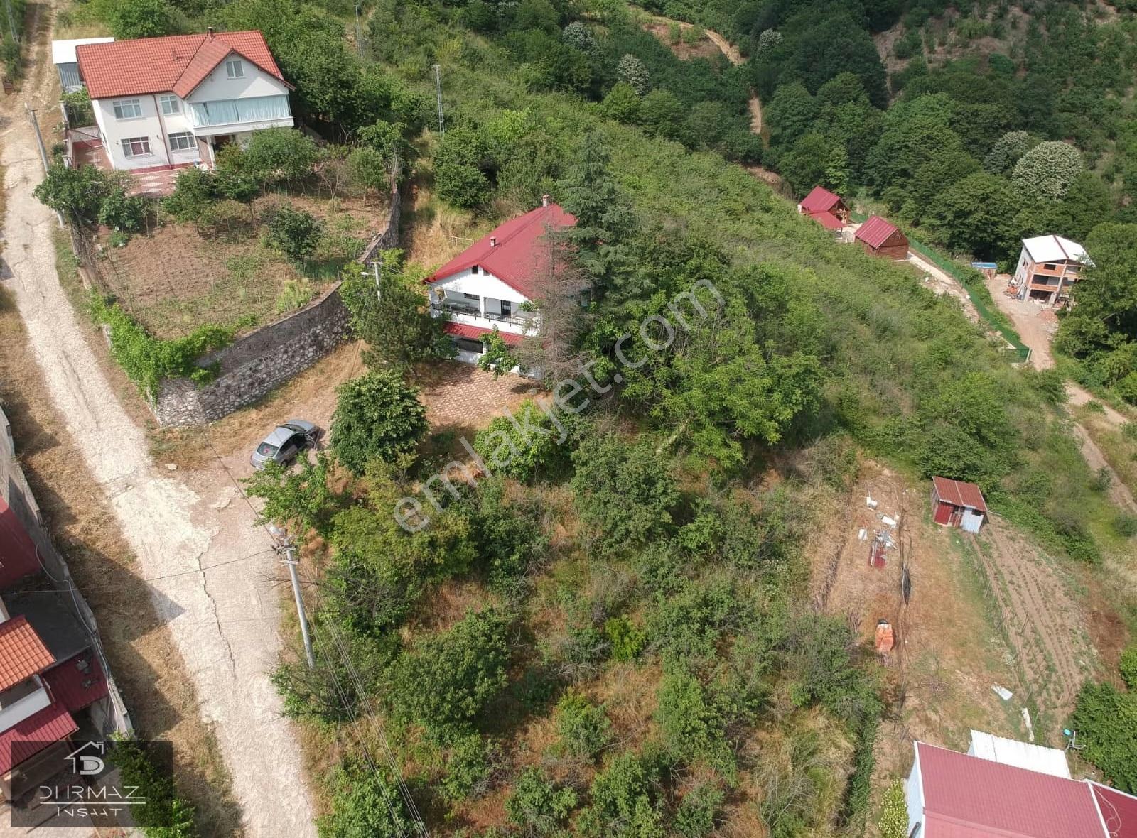 Kuzulukun Zirvesinde, Ayaklarınızın Altında Bir Yaşam! - Görsel 14