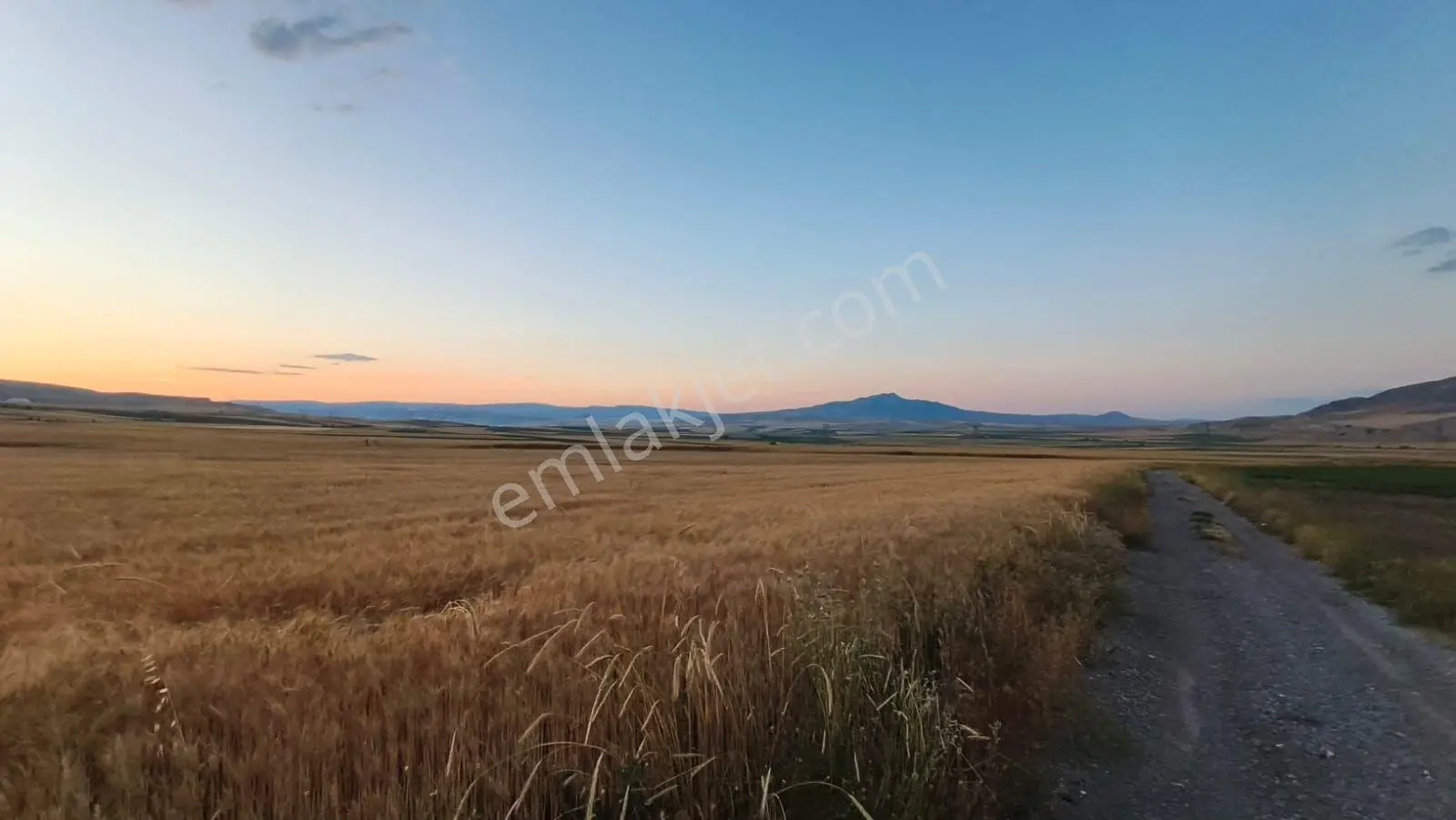 Temelli Bacı Mahallesinde 475 M2 Satılık Yatırımlık Tarla Hissesi - Görsel 5