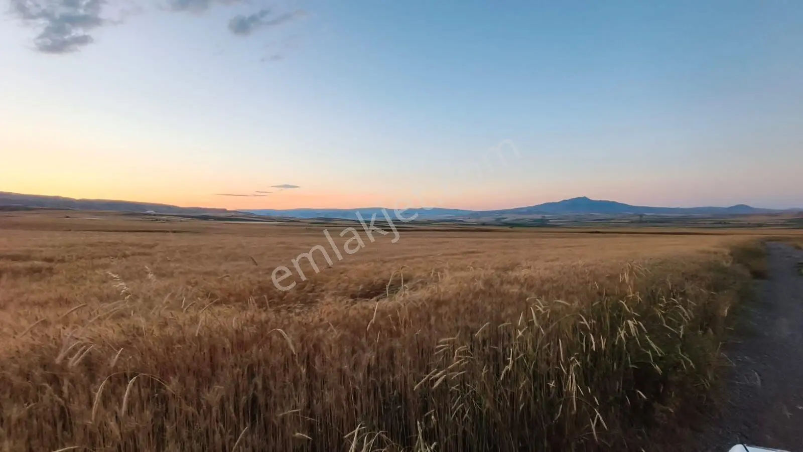 Temelli Bacı Mahallesinde 475 M2 Satılık Yatırımlık Tarla Hissesi - Görsel 4