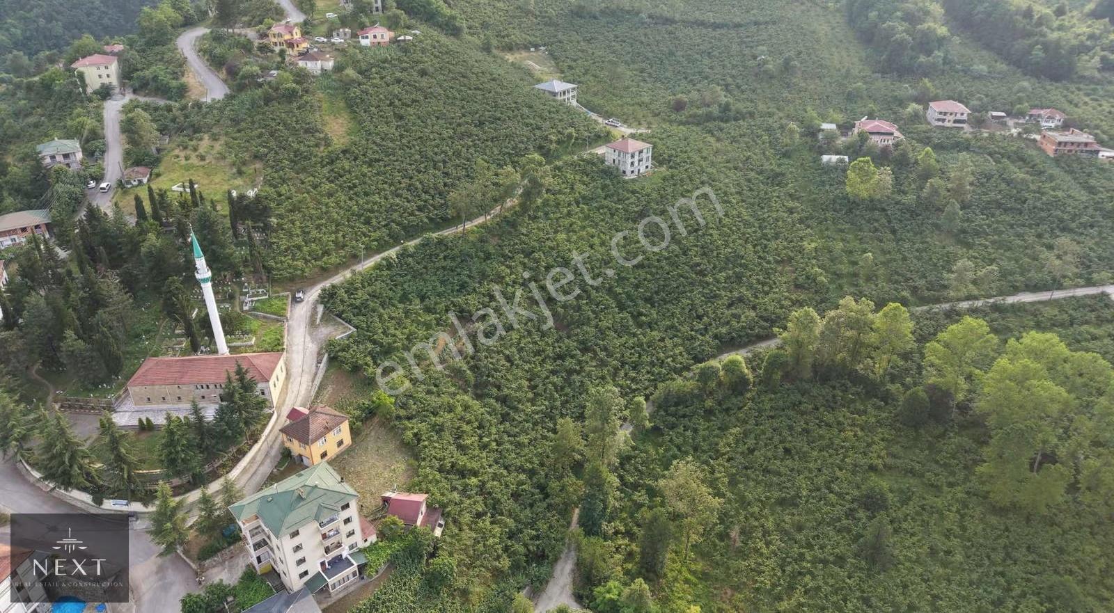 Trabzon Akoluk Da Satılık Arazi - Görsel 2