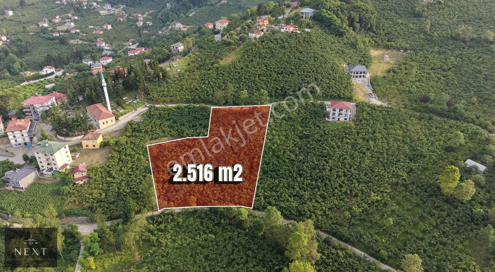 Trabzon Akoluk Da Satılık Arazi
