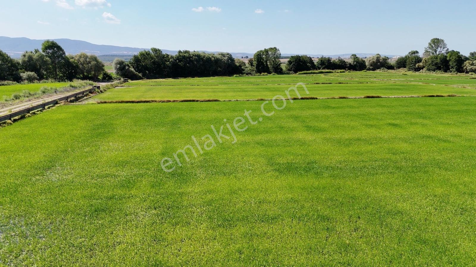 Ana Asfalt Üstü Merkeze 4 Dk 8300 M2 Tarla - Görsel 18