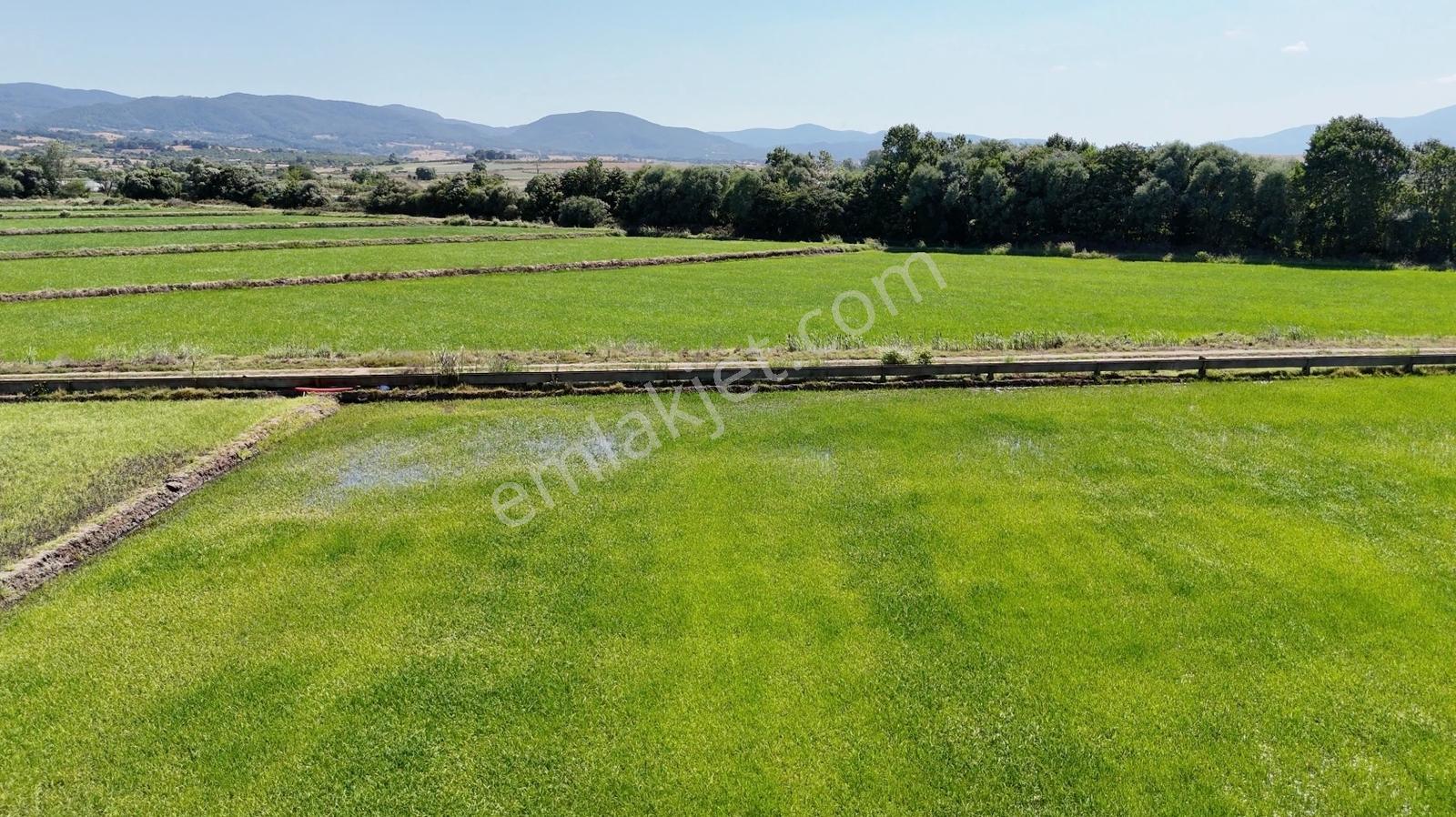 Ana Asfalt Üstü Merkeze 4 Dk 8300 M2 Tarla - Görsel 12
