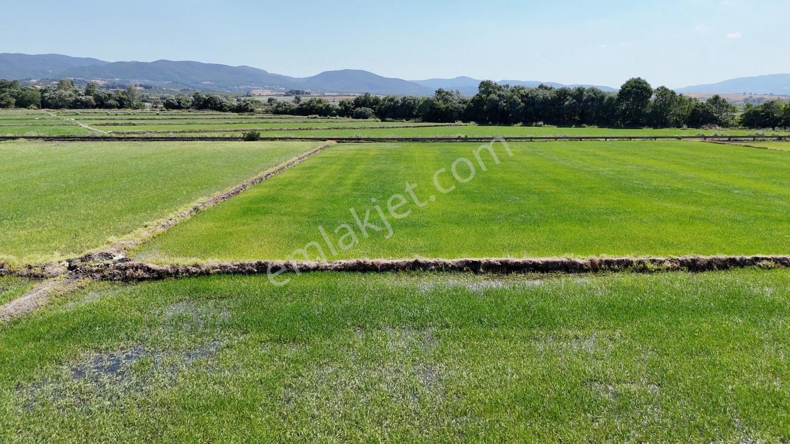 Ana Asfalt Üstü Merkeze 4 Dk 8300 M2 Tarla - Görsel 14