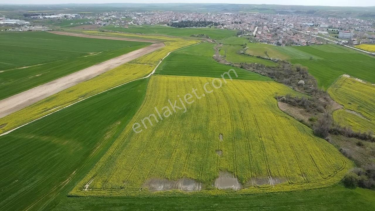 Muratlı'da Osb, İmar Ve Ulaşım Ağlarına Komşu 57.6 Dönüm Tarla - Görsel 6