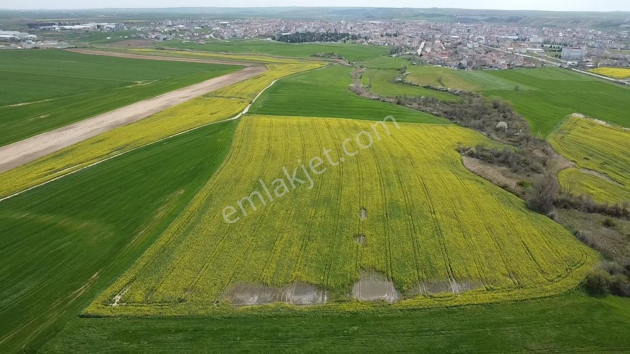 Muratlı'da Osb, İmar Ve Ulaşım Ağlarına Komşu 57.6 Dönüm Tarla - Görsel 13