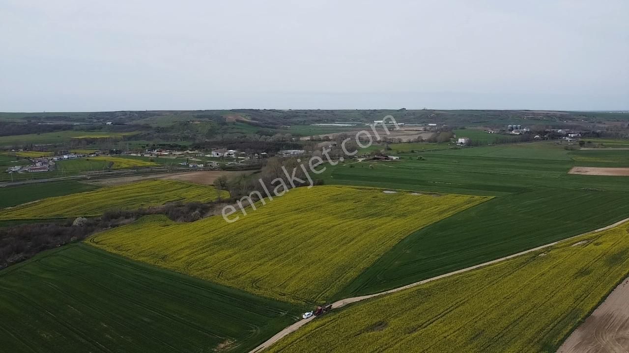 Muratlı'da Osb, İmar Ve Ulaşım Ağlarına Komşu 57.6 Dönüm Tarla - Görsel 14