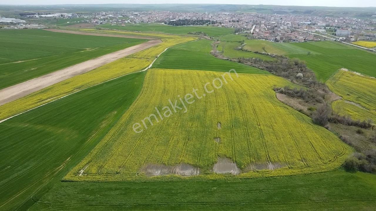 Muratlı'da Osb, İmar Ve Ulaşım Ağlarına Komşu 57.6 Dönüm Tarla - Görsel 9