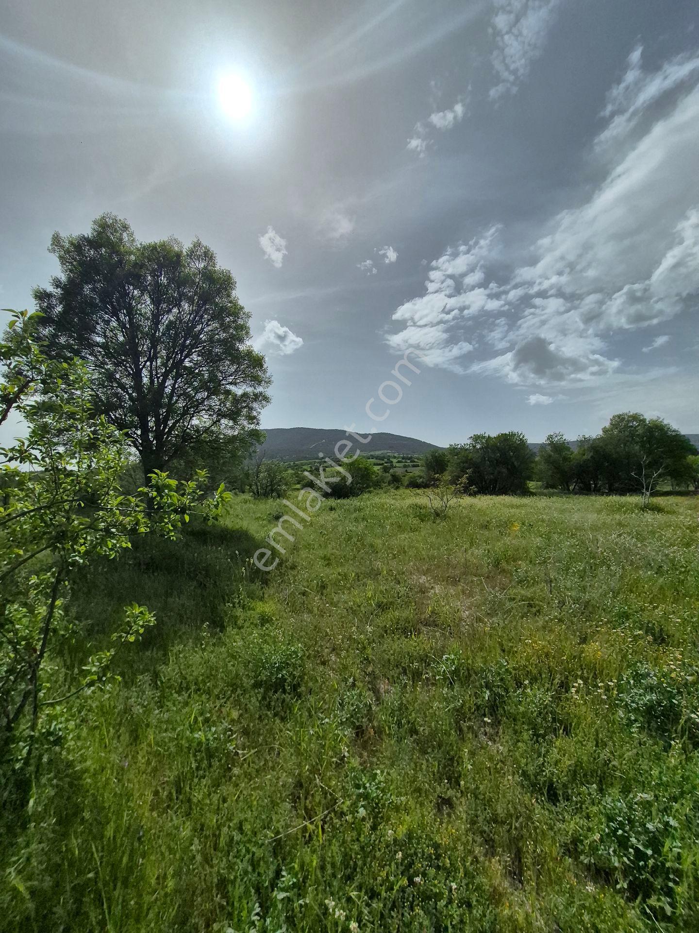 Isparta Gönende Kadastro Yoluna Sıfır Hobi Bahçesi - Görsel 7