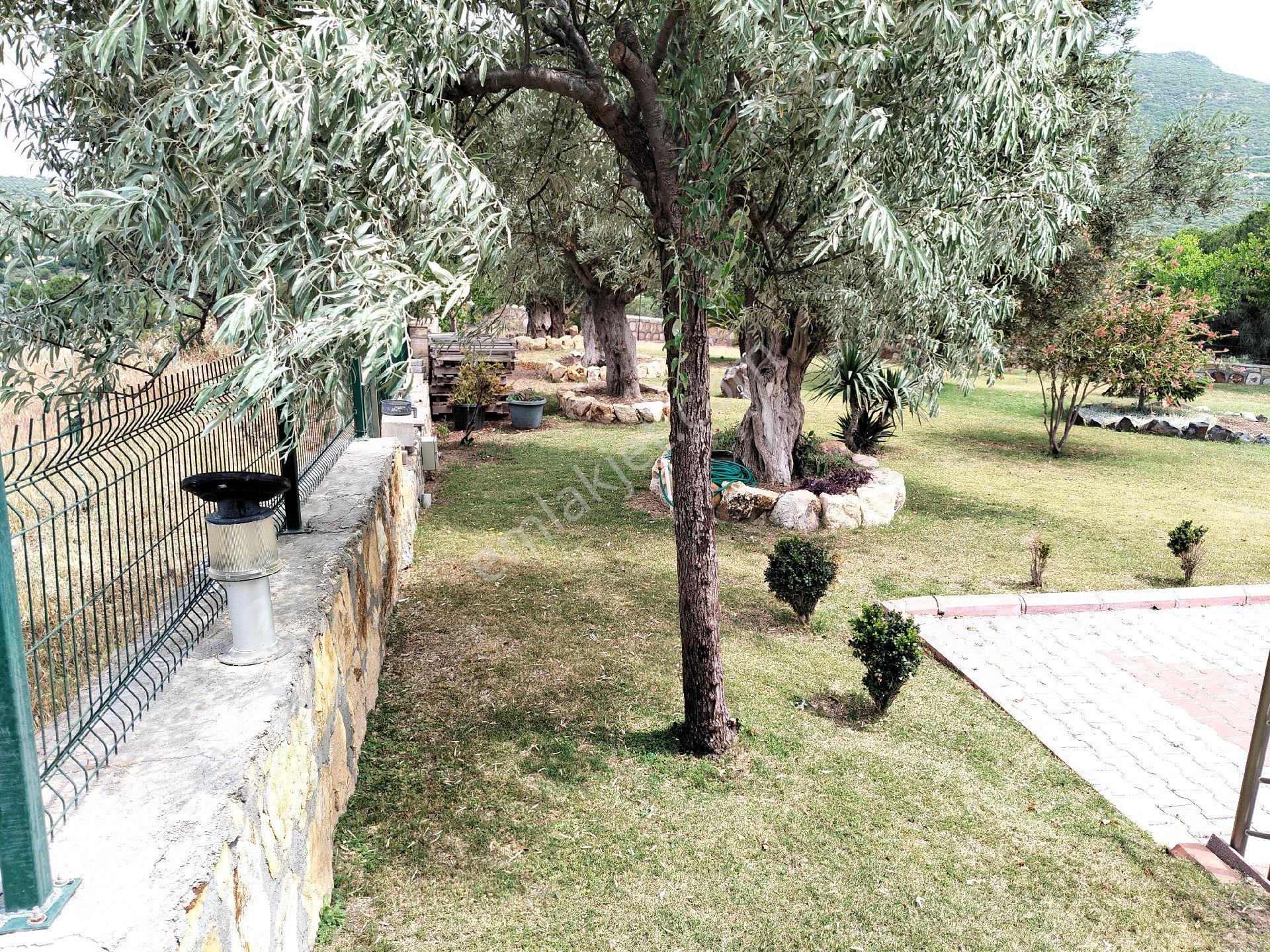 Eski Foça'da 360 Panoramik Müstakil Villa - Görsel 8