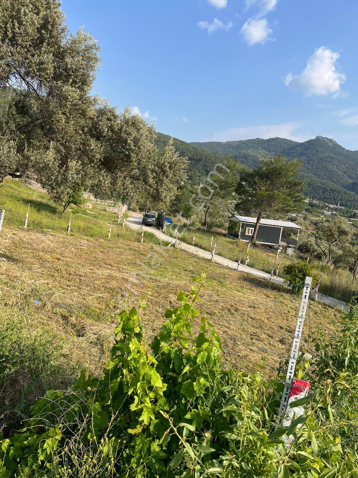 Kemalpaşa Gökyaka Köyü Dibi Ana Yola Yakin Satılık Bahçe - Görsel 3