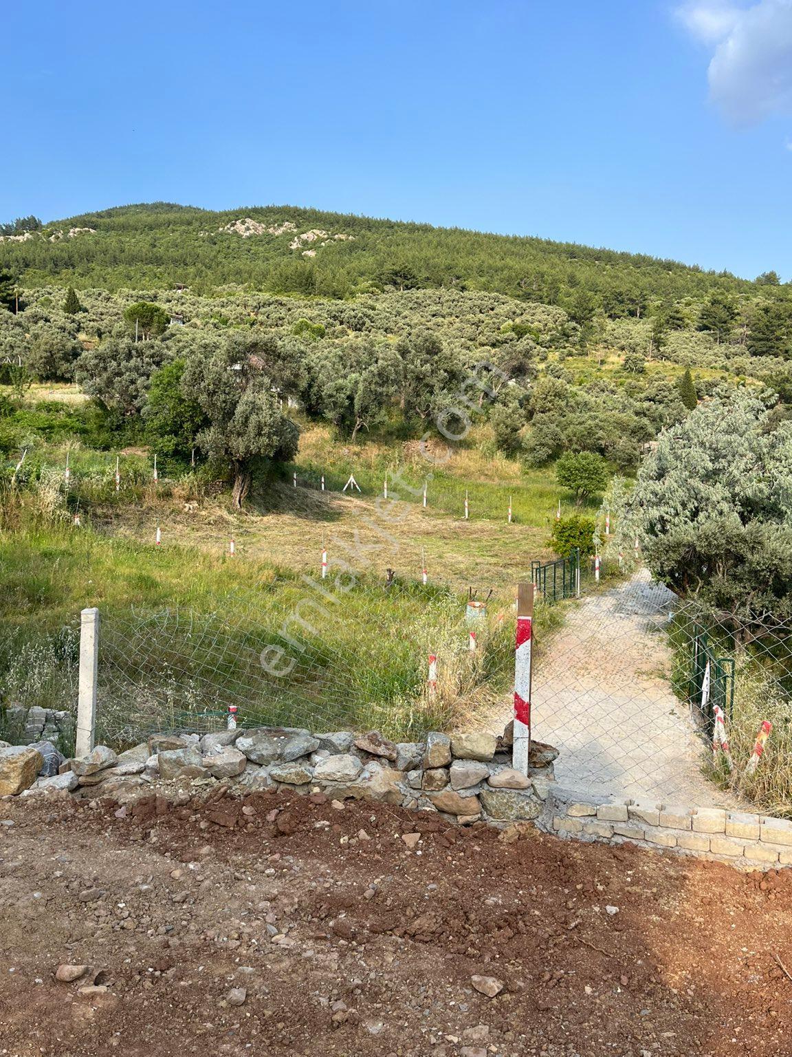 Kemalpaşa Gökyaka Köyü Dibi Ana Yola Yakin Satılık Bahçe - Görsel 5