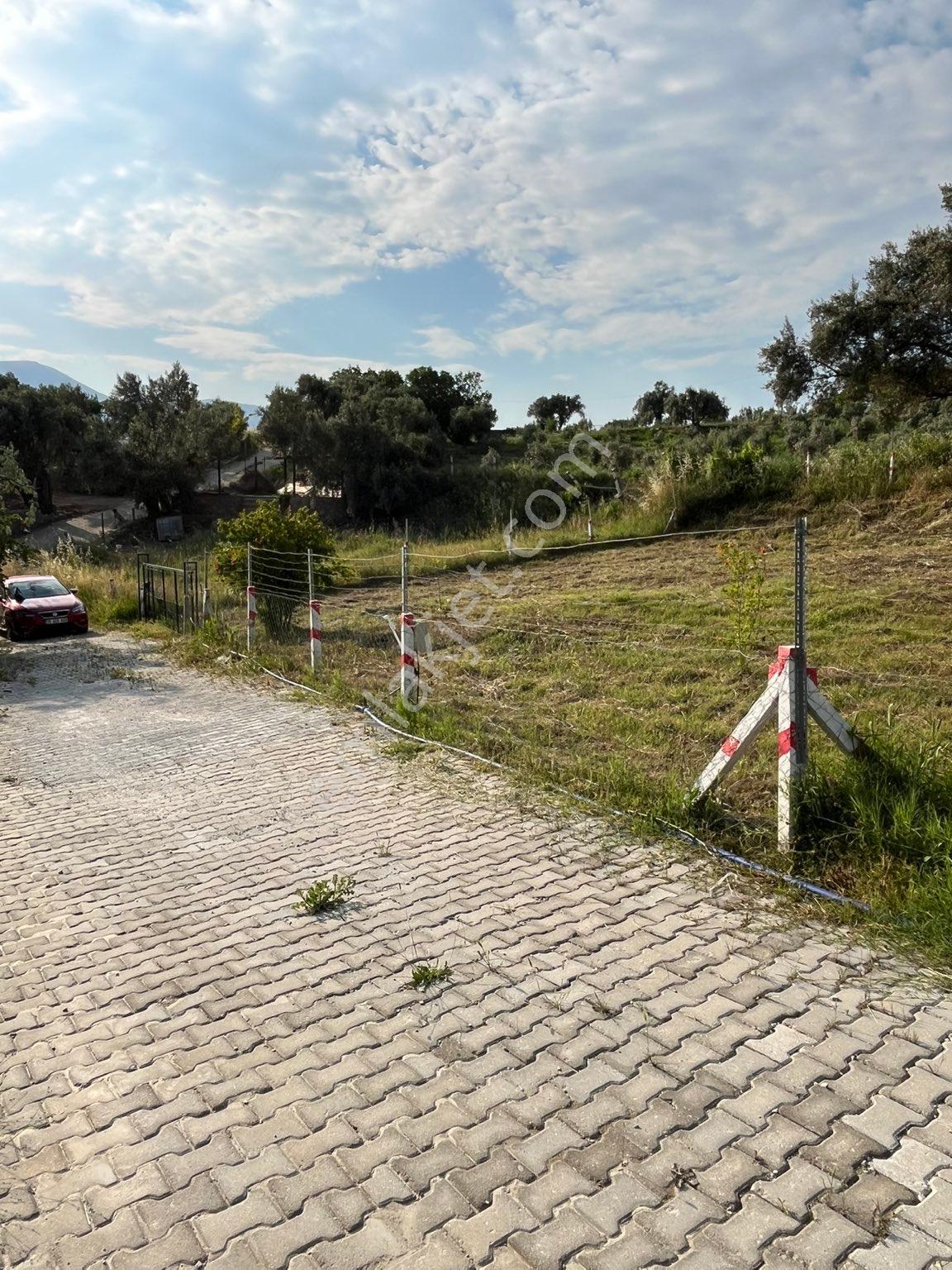 Kemalpaşa Gökyaka Köyü Dibi Ana Yola Yakin Satılık Bahçe - Görsel 6