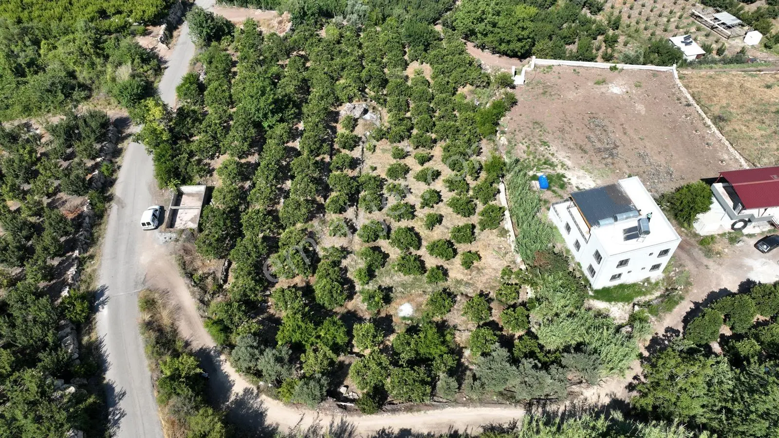 Acar Group'tan Değirmençay'da Satılık 4.587 M2 Portakal Bahçesi