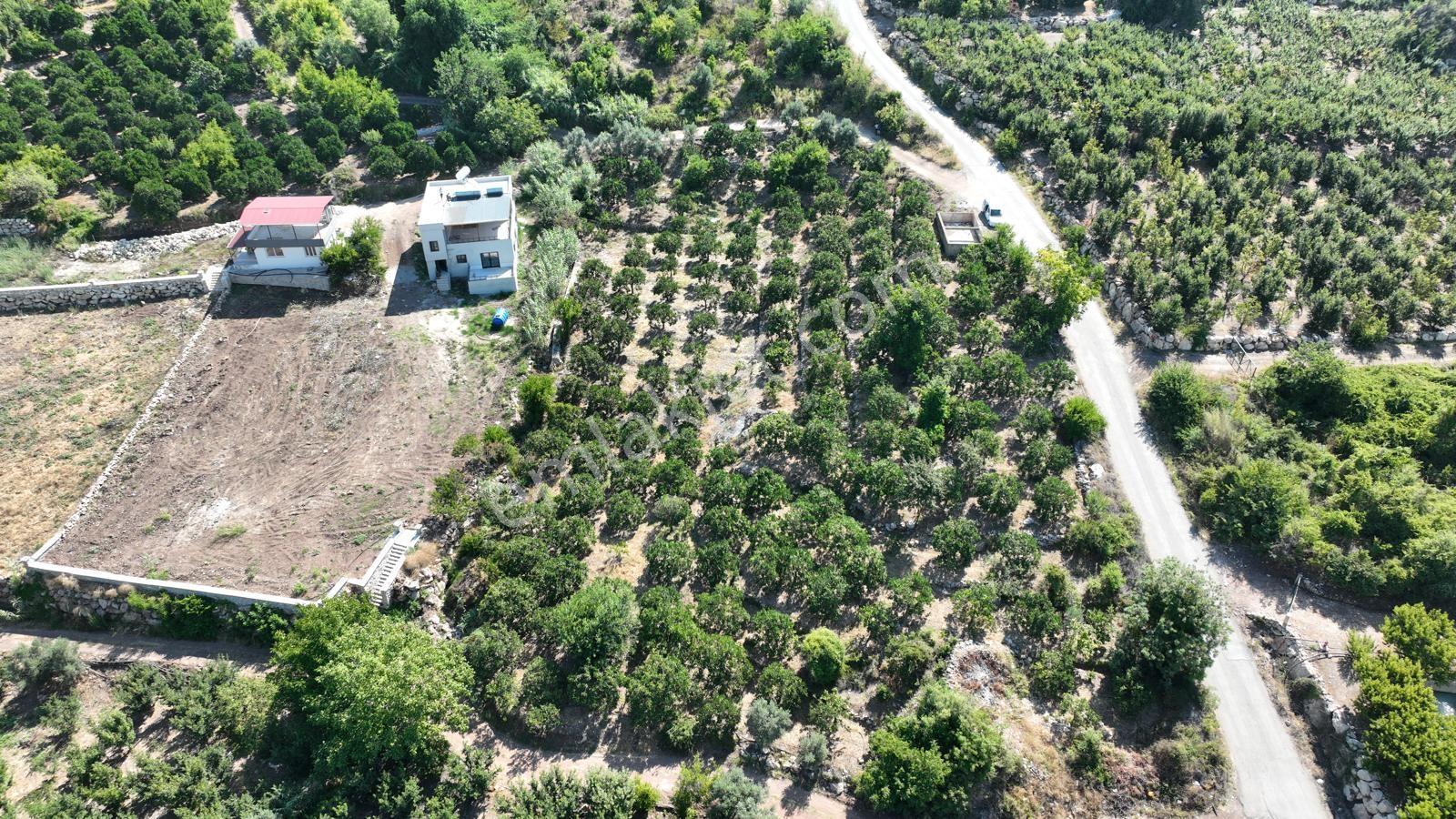 Acar Group'tan Değirmençay'da Satılık 4.587 M2 Portakal Bahçesi - Görsel 4
