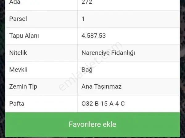 Acar Group'tan Değirmençay'da Satılık 4.587 M2 Portakal Bahçesi - Görsel 3