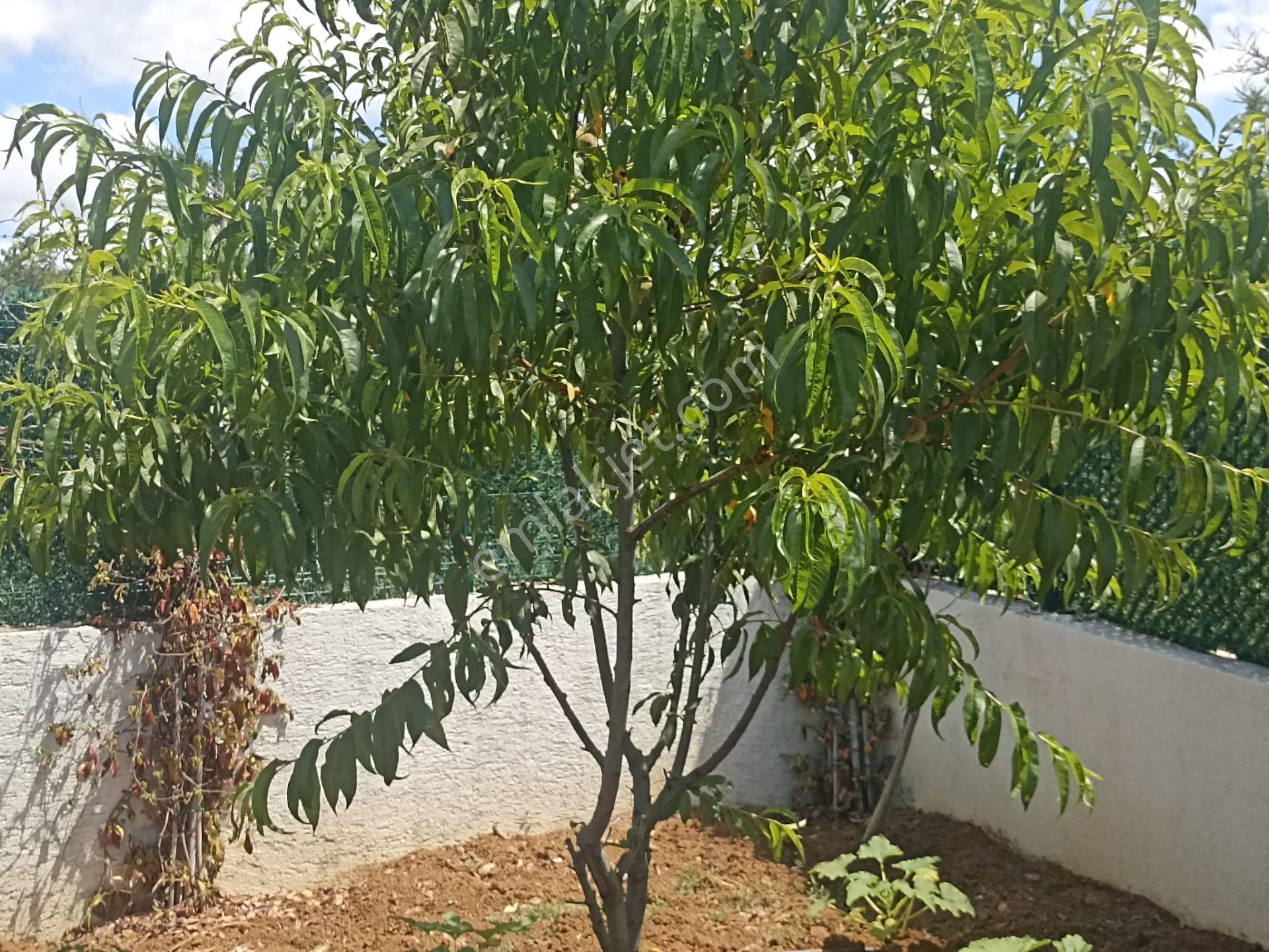 Çatalca Subaşı Mah. 2+1 Havuzlu 940 M2 Hisseli Yerimiz Satılık - Görsel 10