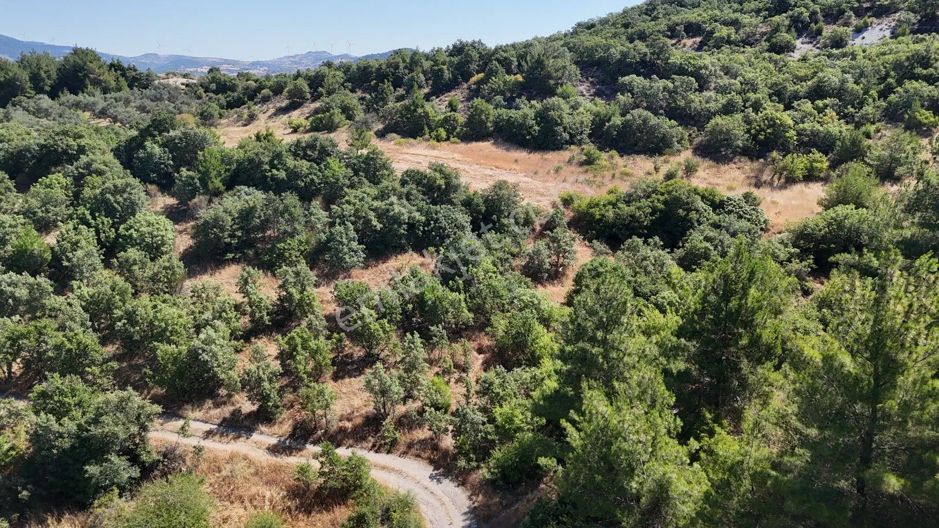 Balıkesir İvrindi Yolu Üzerinde Ana Yola Cepheli Satılık Zeytinlik - Görsel 3