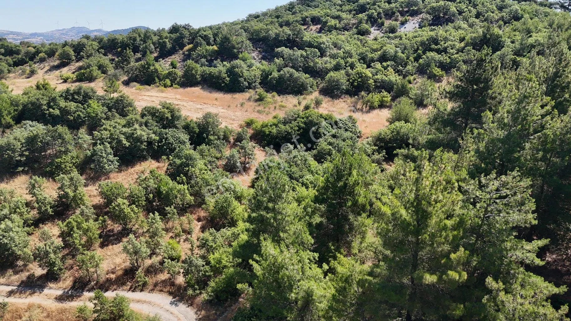 Balıkesir İvrindi Yolu Üzerinde Ana Yola Cepheli Satılık Zeytinlik - Görsel 2