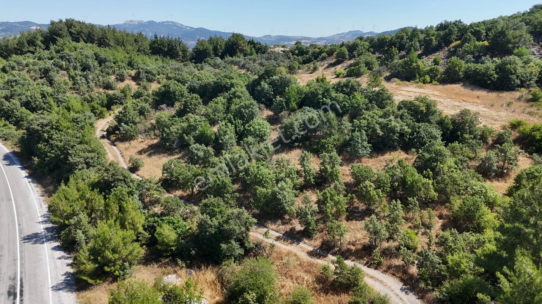 Balıkesir İvrindi Yolu Üzerinde Ana Yola Cepheli Satılık Zeytinlik - Görsel 5