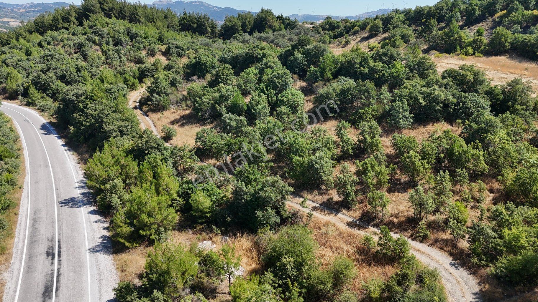 Balıkesir İvrindi Yolu Üzerinde Ana Yola Cepheli Satılık Zeytinlik - Görsel 14