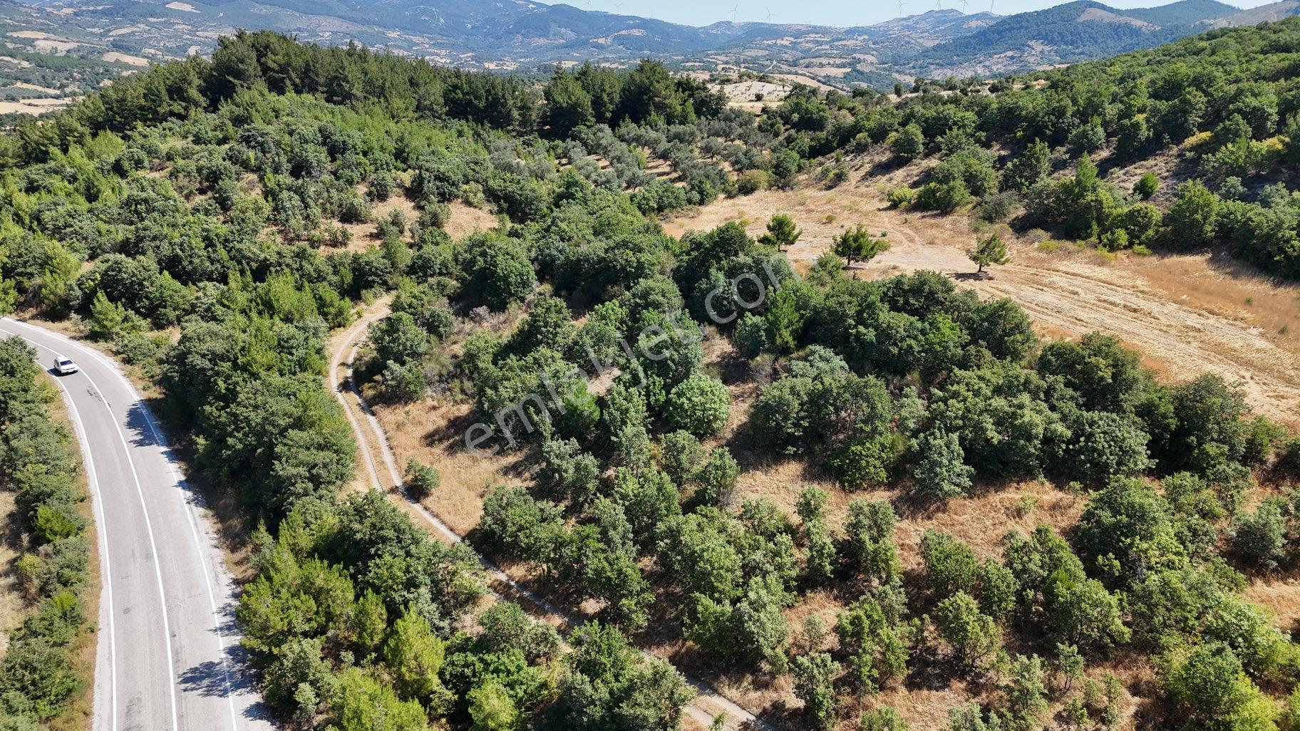 Balıkesir İvrindi Yolu Üzerinde Ana Yola Cepheli Satılık Zeytinlik - Görsel 10