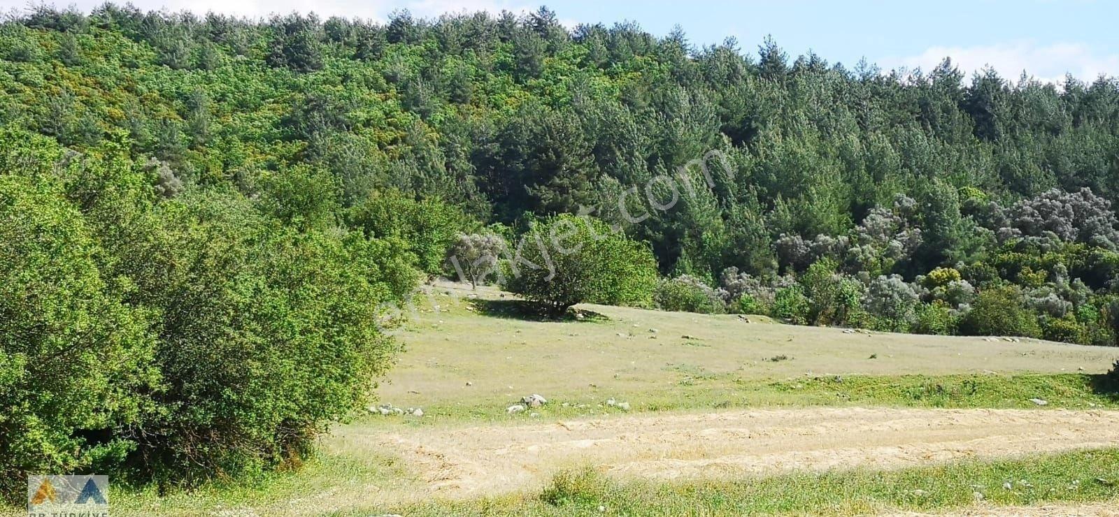 Muğla Mılasta Doğanın Icerısınde Kooperatif Hıssesı - Görsel 2